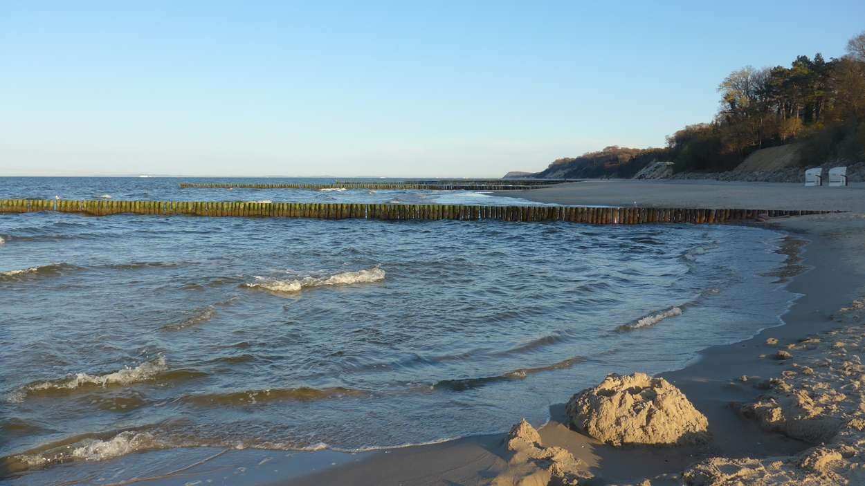 stubbebfelde-1jpg