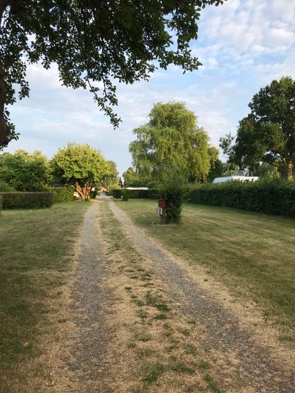 guldborg-1jpg